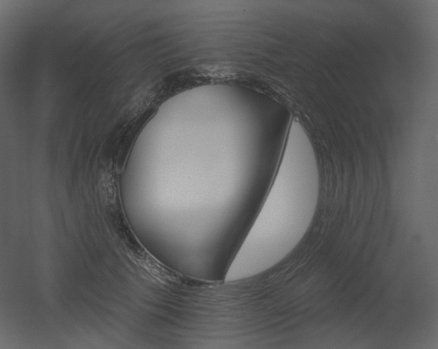 X0000051860609200506241323