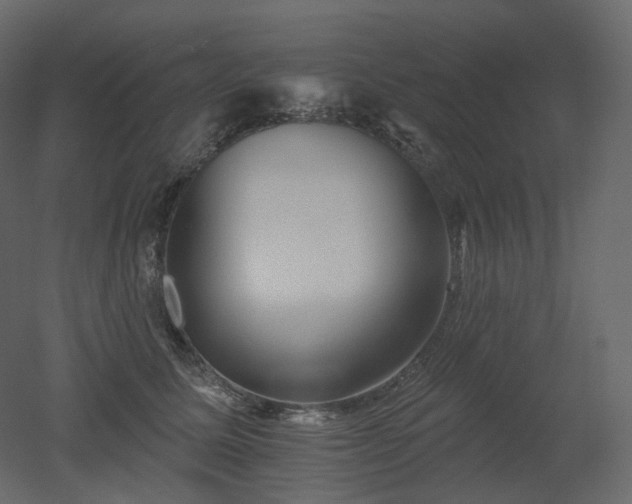 X0000051860611200506241323