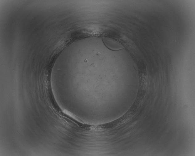 X0000051860612200506241323