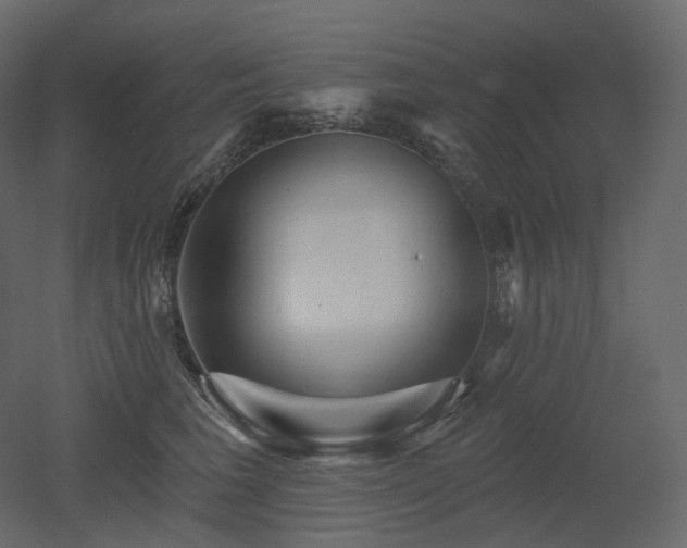 X0000051860613200506241323