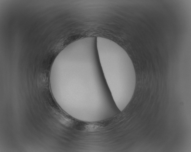 X0000051860614200506241323