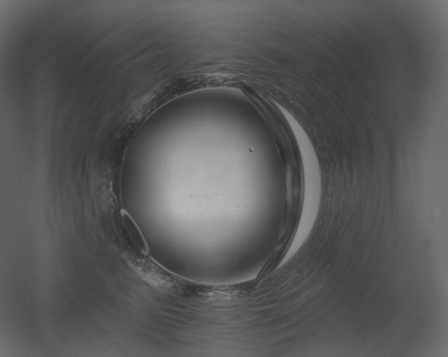 X0000051860615200506241323