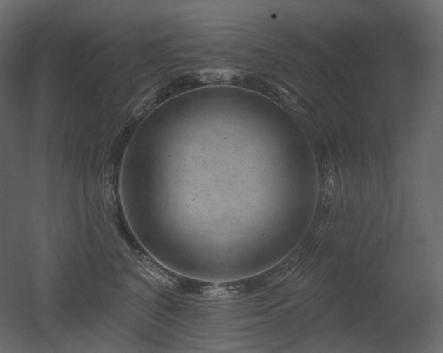 X0000051860616200506241323