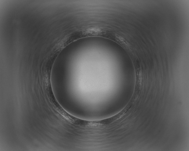 X0000051860617200506241323