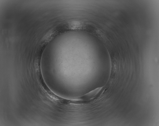 X0000051860620200506241323