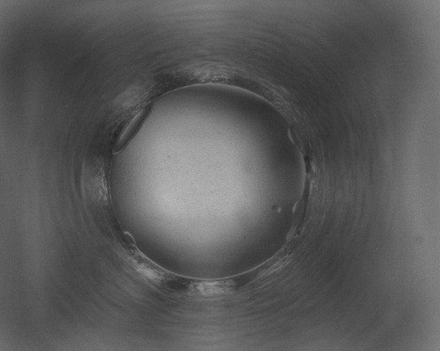 X0000051860622200506241323