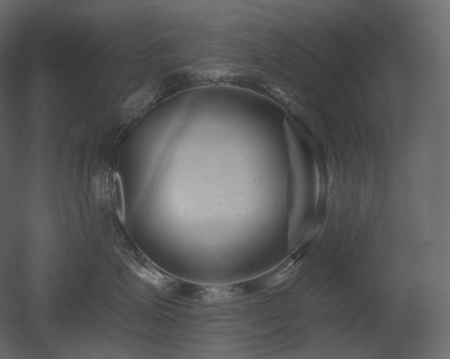 X0000051860623200506241322