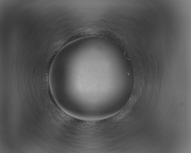 X0000051860624200506241322