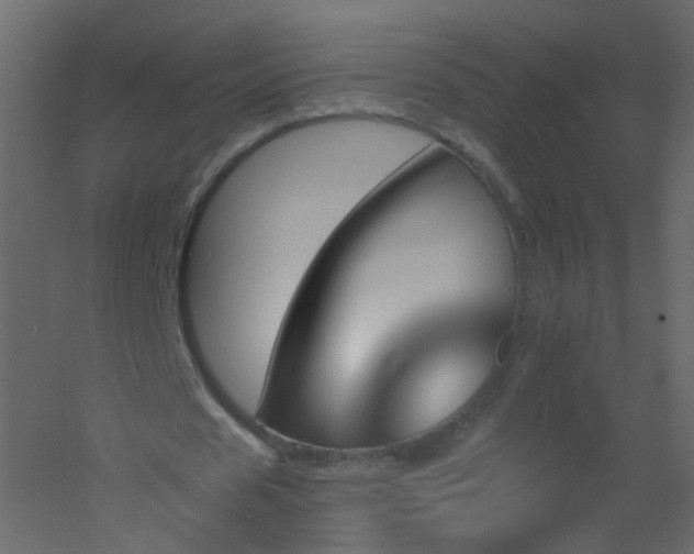 X0000051860625200506241322