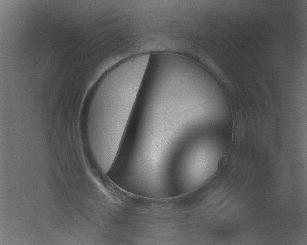 X0000051860626200506241322