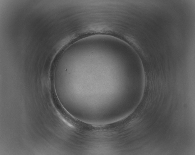 X0000051860630200506241322