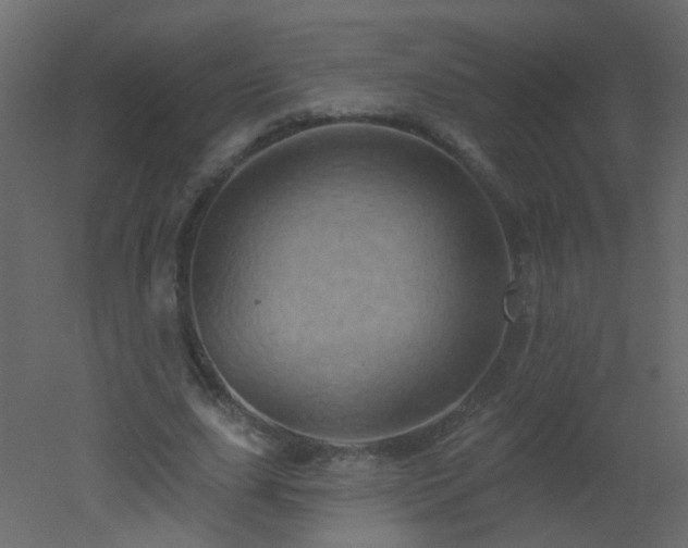 X0000051860631200506241322