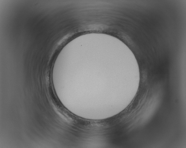 X0000051860632200506241322