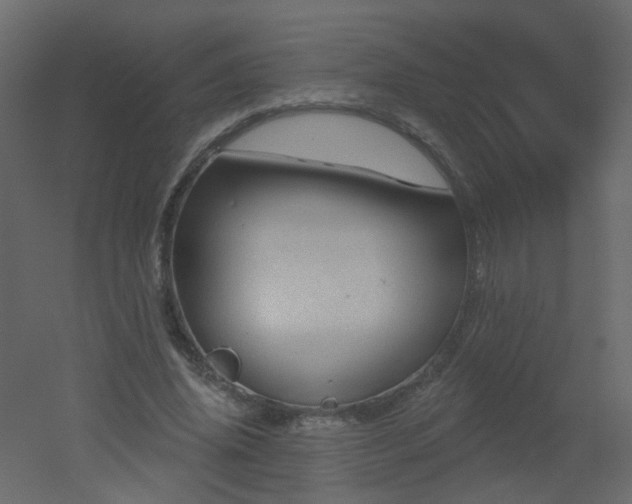 X0000051860636200506241322