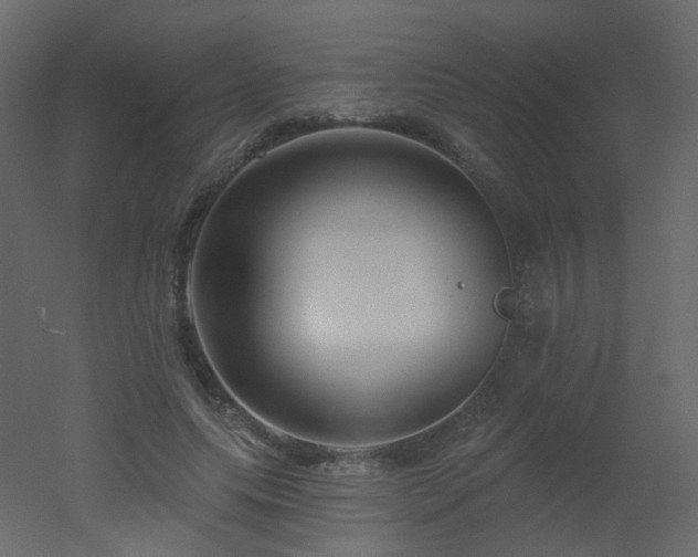 X0000051860639200506241322