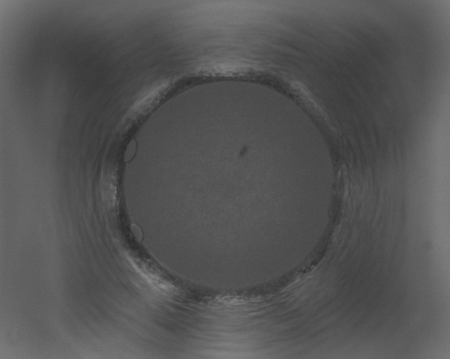 X0000051860640200506241322