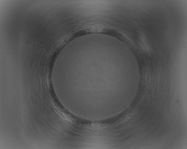 X0000051860641200506241322