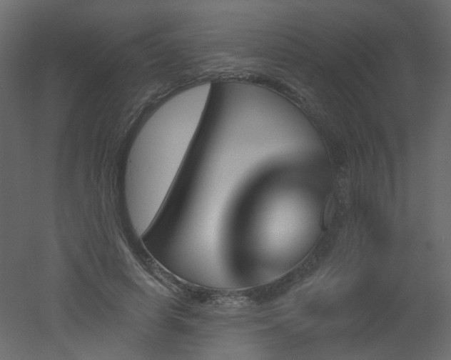 X0000051860642200506241322