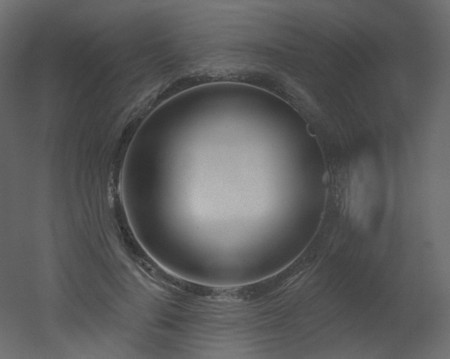 X0000051860644200506241322