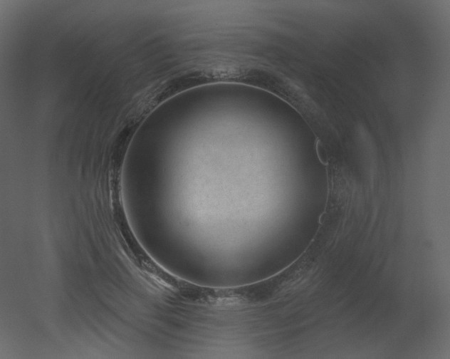 X0000051860645200506241322