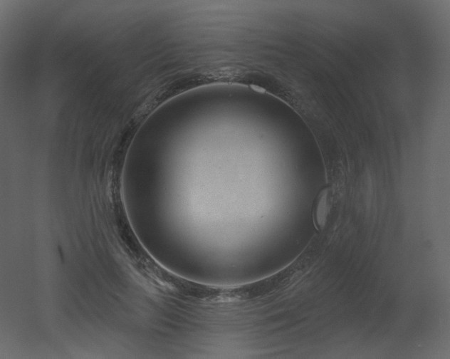 X0000051860647200506241322