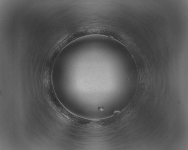 X0000051860648200506241322