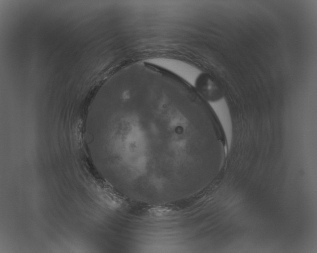 X0000051860650200506241322