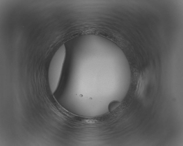 X0000051860654200506241322