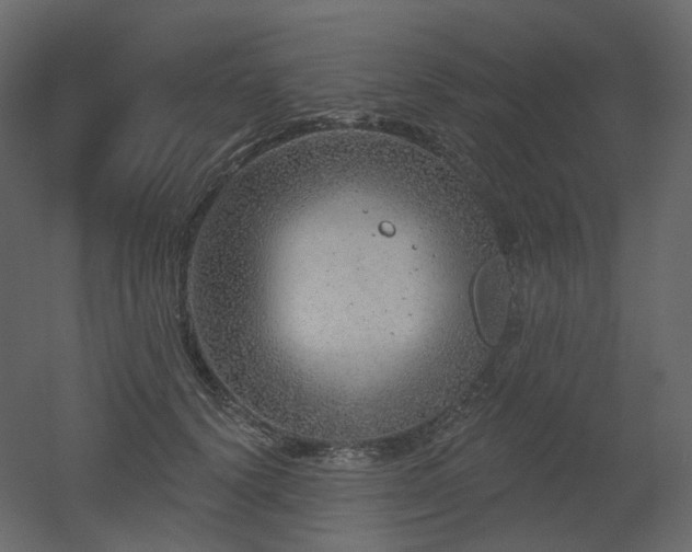 X0000051860656200506241322