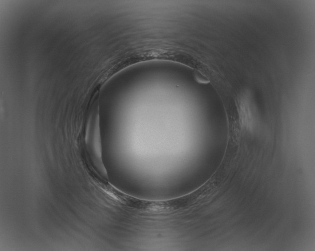 X0000051860657200506241322