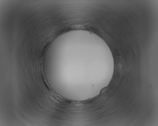 X0000051860658200506241322