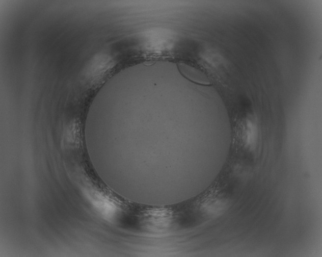 X0000051860659200506241322