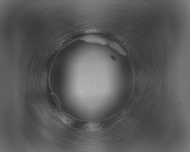 X0000051860660200506241322