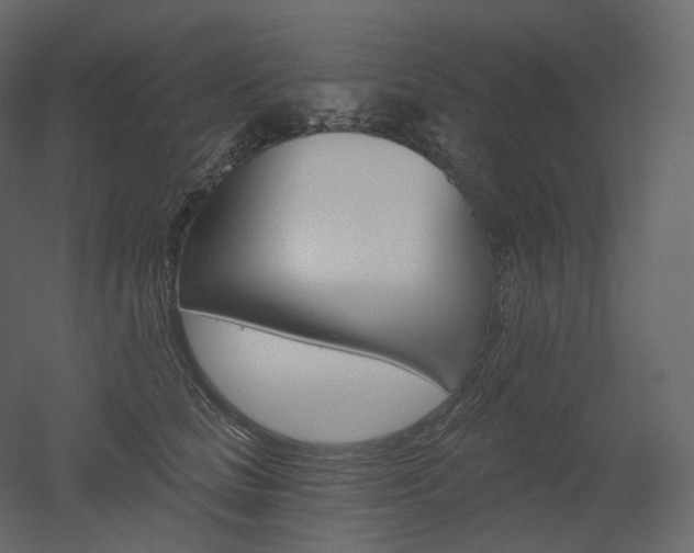 X0000051860661200506241322