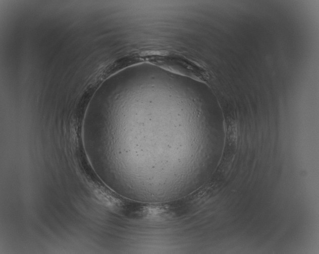 X0000051860662200506241322