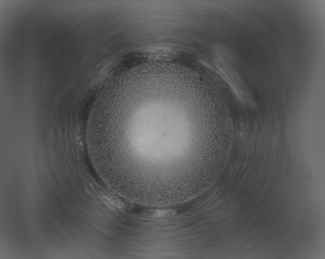 X0000051860663200506241322