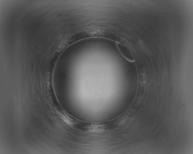 X0000051860664200506241322