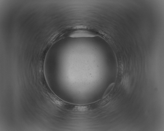 X0000051860665200506241322