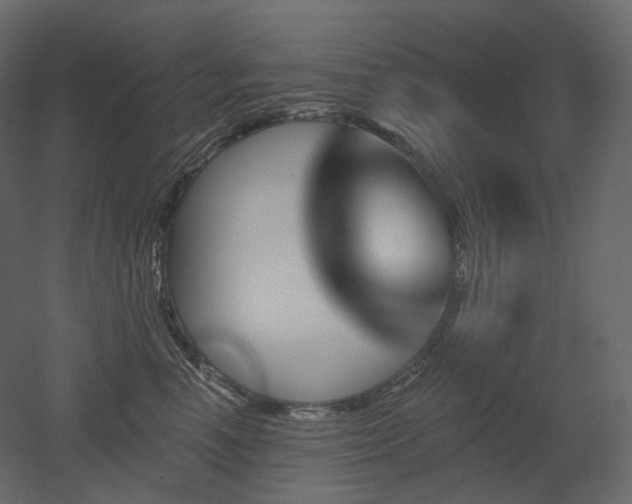 X0000051860666200506241322