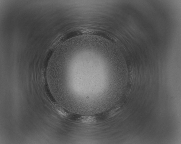 X0000051860667200506241322