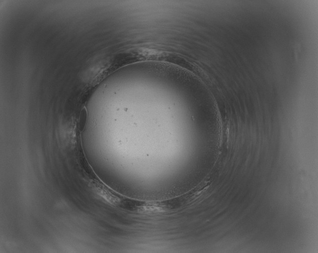 X0000051860668200506241322