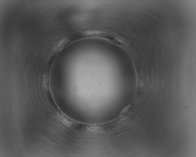 X0000051860669200506241322