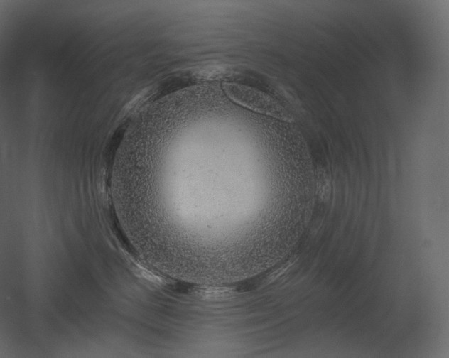 X0000051860670200506241322