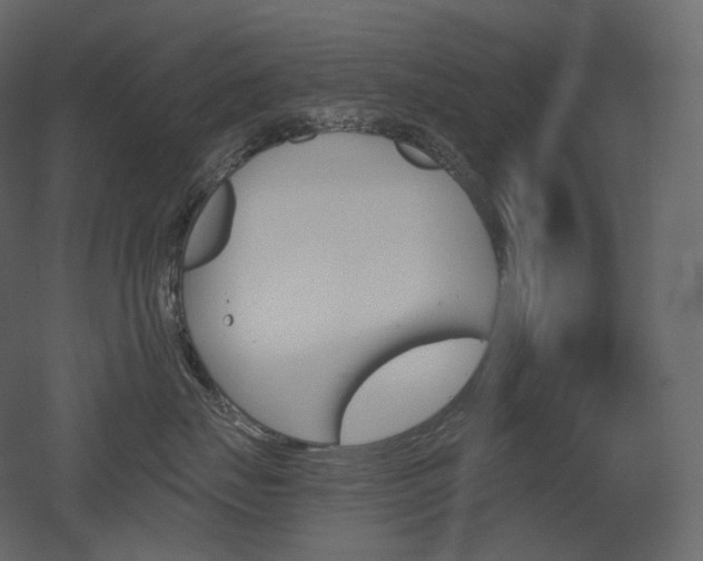 X0000051860671200506241322