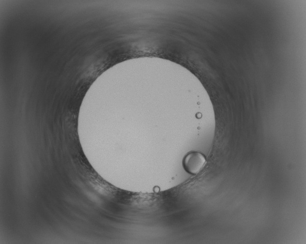 X0000051860672200506241322