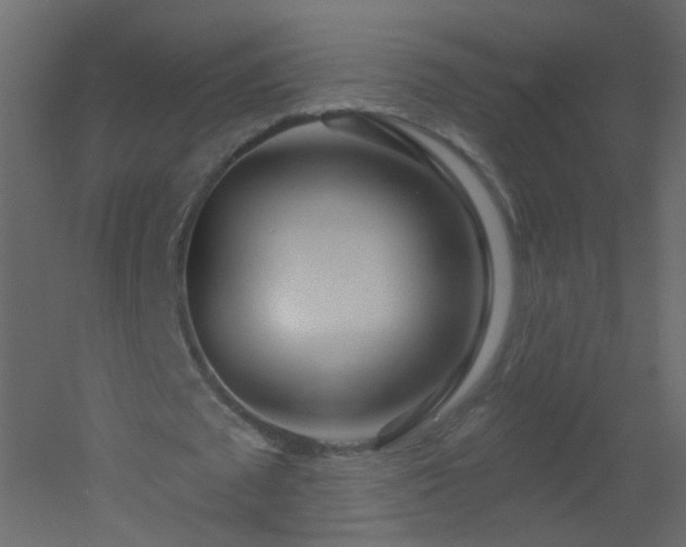 X0000051860673200506241322