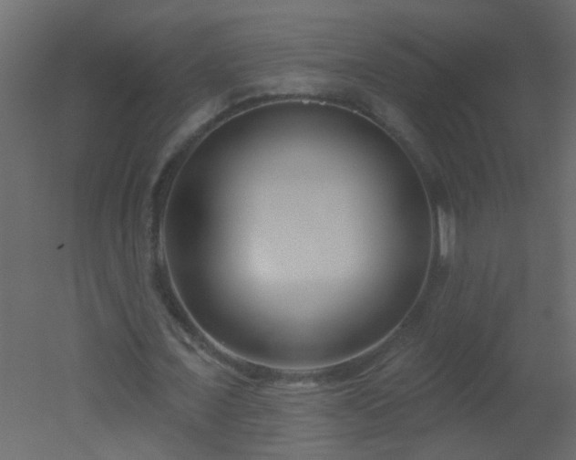 X0000051860675200506241322