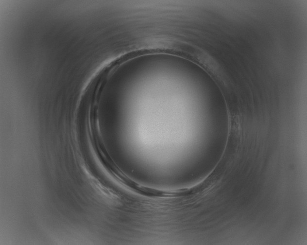 X0000051860676200506241322