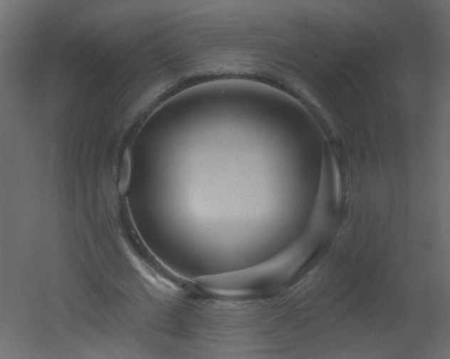 X0000051860677200506241322