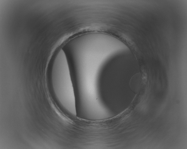 X0000051860678200506241322